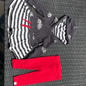 Burt's Bees Baby Gray and Red Striped Hoodie Set